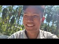 Diyun Local Vegetables Market 🥹🥵 || Diyun Market Vlog || Village Life Vlog || Arunachal Market 🥹🥵...