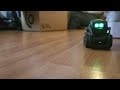 My robot zoo has its first resident (Anki Vector)