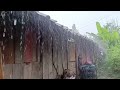 Soothing heavy rain - fall asleep quickly with the sound of heavy rain l walking in the rain