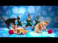 Check out my ElfYourself Dance!