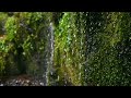 - NO MUSIC - 3 Hours of  Pure Trickling Water Sounds