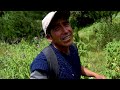 Encontramos LA FUENTE DE LA VIDA oculto en un bosque de Pinos en Huancavelica ¡UN OJO DE AGUA!