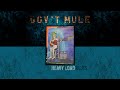 Gov't Mule - Heavy Load (Official Audio)