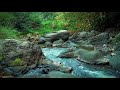 River Sounds | Relaxing Studying Sounds, Focus Concentration Sound, Sounds for Brain