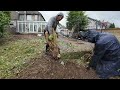 Jim's Birthday Surprise! Emotional Rollercoaster On Garden Clean Up. (Ep4)