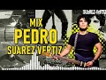 MIX PEDRO SUAREZ VERTIZ - DADDOW DJ ⚡❤️ ( Mejores y Grandes Éxitos del ROCK PERUANO )