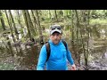 Swamp hiking at upper hillsborough