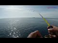 Mancing ikan tongkol di buritan tongkang | ultralight jigging