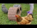 Kinder bringen Hühnern Kunststücke bei | Hens perform Tricks 🐔😍