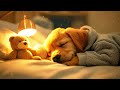 3 Hours of Calming Music for Dogs🐶Music for Stressed Dogs💖🎵Dog Separation Anxiety Music