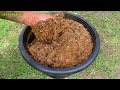 HOW TO LEAF MULCHING CHEAP & EASY