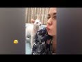 Funny Dogs And Cats Videos 2023 🤤 - Best Funniest Animal Videos Of The Month #28