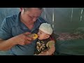 A single father cuts bananas to sell to buy milk for his children [Lý Đức  chung]