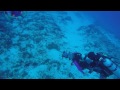 POV Diving - Dalila - Cozumel - México