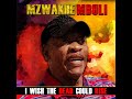 Mzwakhe Mbuli I wish the Dead Coud Rise