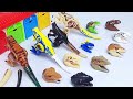 Learn Dinosaur names with Jurassic world lego dinosaur's head toy - T-Rex, Indoraptor, Indominus Rex