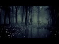 Harry Potter Inspired Ambience ✦ Forbidden Forest at night ✦  1 hour relaxing Animation & Soundscape