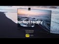 QLED 8K: (Quasi) Perfect Reality