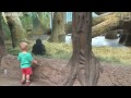 Gorilla plays peek-a-boo with toddler at Columbus Zoo – video