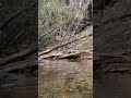 Nature Berkshires River Relax