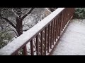 Snow in Austin - Feb 23, 2010