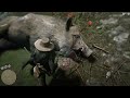 Red Dead Redemption 2_20230922113356