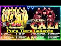 Tierra Cali Mix Grandes Exitos 2024 🔥 Puro Tierra Caliente Mix 2024 📀 30 Exitos Extravagantes