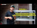 5 TIPS Saat membeli kenari di ombyokan biar dapet kenari yg bagus