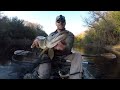 Swimbait Fishing Ferocious River Beasts!