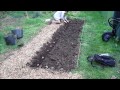 Doug's Allotment - Planting potatoes with comfrey