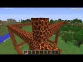 Minecraft Battle: NOOB vs PRO vs HACKER vs GOD: INSIDE CHEST BASE HOUSE BUILD CHALLENGE / Animation