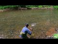 Rainbow Trout Chases a White Woolly - Trout's Honor