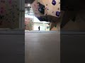 V4 - V6 Upside Down Overhang Course at OSO Dallas