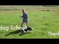 Sheepdog School How to train a Sheepdog - Secrets of a good stop with Flute.