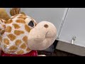 S1 Ep14 Cutie and Mutie Are Back in New Jersey; Giraffe Life