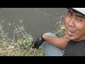 Mujur!!! Mancing ikan nila besar2 tetangga sampai kepanasan lihat-nya