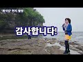 ♦️채석강 Cover by 김수자 🎶원곡:진 성