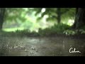 Rain Sounds for Relaxing, Focus or Deep Sleep   Nature White Noise   8 Hour Video