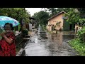 Heavy rain in rural java || walking in the rain || sleep soundly with the sound of rain