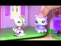 LPS - 🐶 Dog Days Ep 1 - Sleepover Spy Cam!