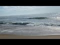 Whale Rehoboth Beach- June 20 2020