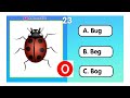 Identify the Image and choose the correct spelling | Quiz Time | Words Quiz for Kids