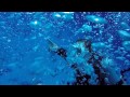 POV Diving - Las Palmas - Cozumel - México