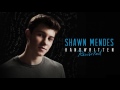 Shawn Mendes - Running Low (Official Audio)