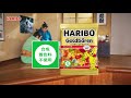 ハリボー新CMに出演いたしました！HARIBO TVCM お相撲さんドットコム