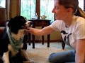 Rosie's Dog Trick Demo