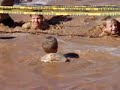 Mud Run 2