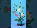 Carnations & Dianthus Mini   #HUAYUN #flowers