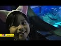 Mengenal Kehidupan Bawah Laut | Seaworld Jakarta