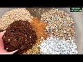 | 다육이키우기 | 분갈이흙 배합의 황금비율! | 최소금액으로 분갈이하기 |초보다육맘 필수영상! succulent soil
